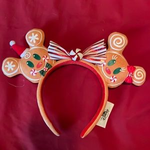 Disney park Christmas ears